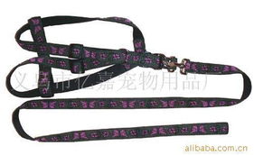 義烏市億嘉寵物用品廠 寵物鏈圈、繩帶與定位器產(chǎn)品全覽